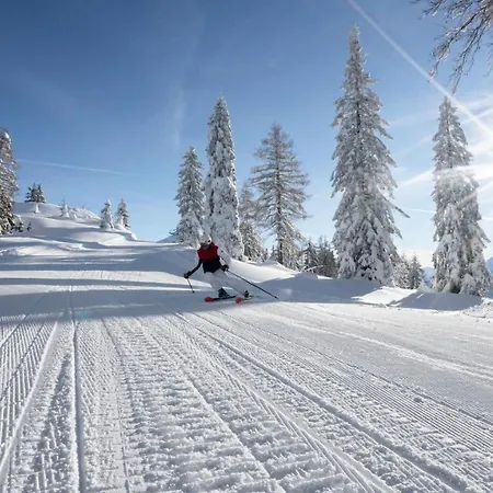 Riedl Apartment Scharnitz