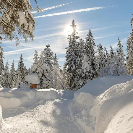 Apartmán Riedl Scharnitz