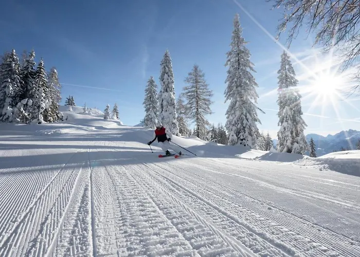 Riedl Διαμέρισμα Scharnitz