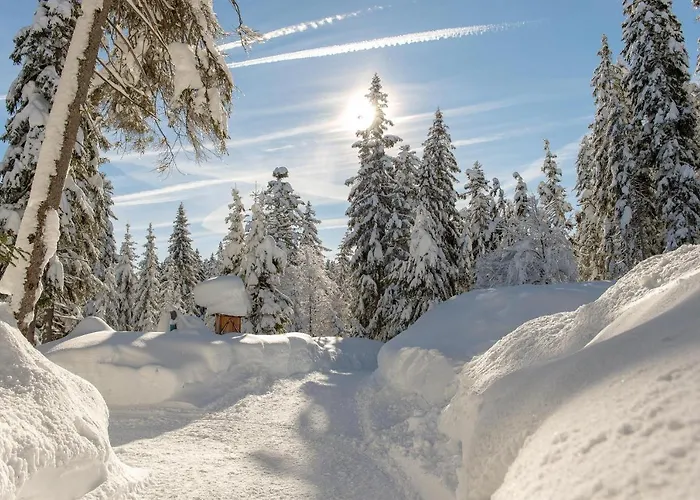 Διαμέρισμα Riedl Scharnitz