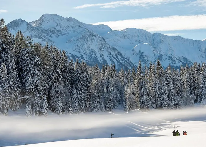 Riedl Διαμέρισμα